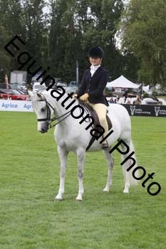 QWR-1493