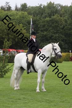 QWR-1508