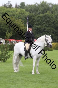 QWR-1509