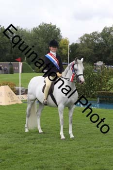 QWR-1529