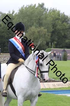 QWR-1538