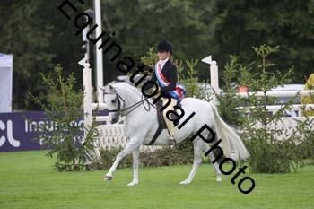 QWR-1548