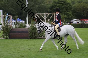 QWR-1562