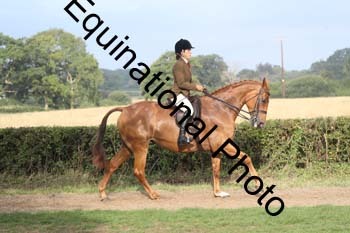GBG-1090 GBG-1090