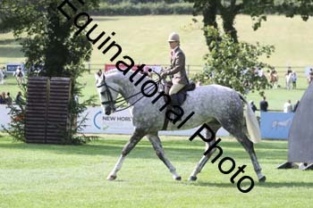 GBG-1833