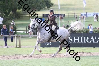 GBG-1864