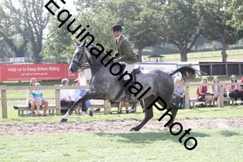 GBG-2006