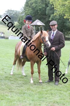GBG-3245