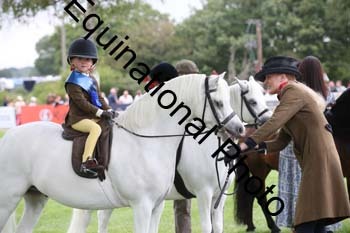 GBG-3341
