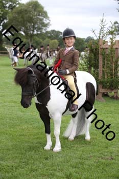 GBG-3970