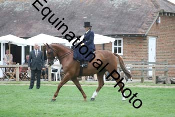 GBG-4260