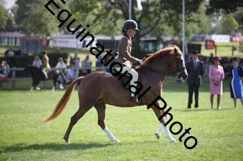 TZN-1940