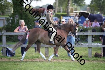 TZN-2258