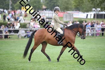 TZN-2844