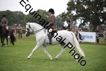 TZN-3072