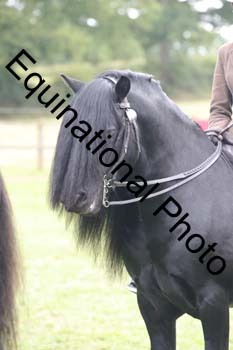 TZN-4184