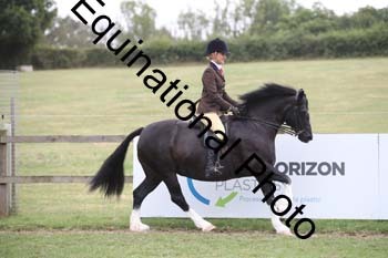TZN-4476