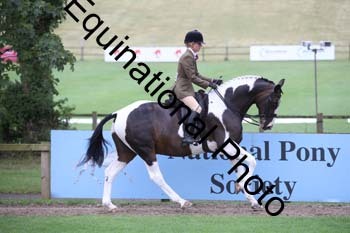 PAP-1094