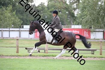 PAP-1254