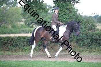 PAP-2784
