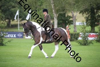 PAP-2850