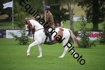 PAP-2865