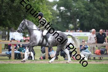 PAP-2899