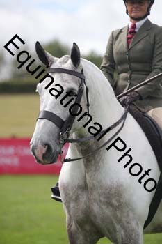 PAP-2989