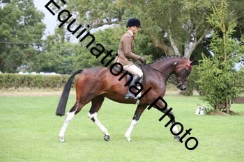 PAP-5186