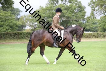 PAP-5195