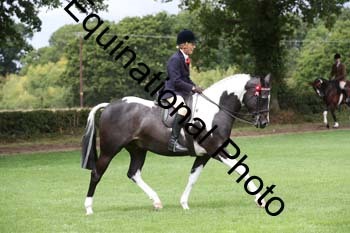 PAP-5217