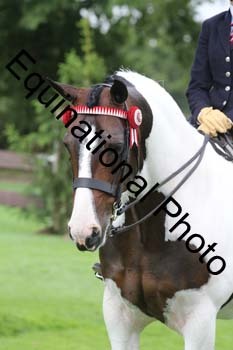 PAP-5545