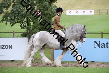 PAP-5734
