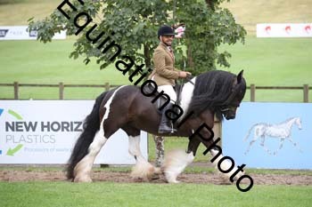 PAP-5765