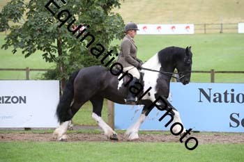 PAP-5788