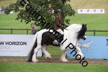 PAP-5791