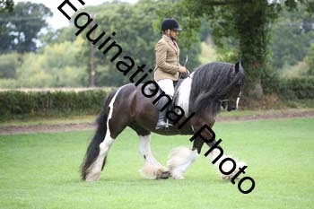 PAP-5882