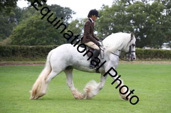 PAP-5891