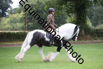 PAP-5892