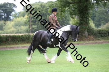 PAP-5895