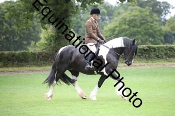 PAP-5896