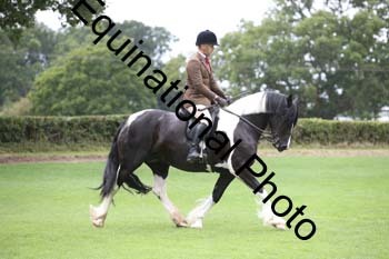 PAP-5897