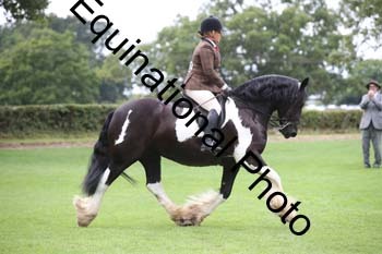 PAP-5901