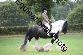 PAP-5902