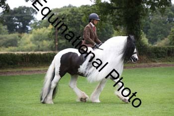 PAP-5906
