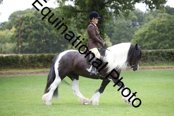 PAP-5909
