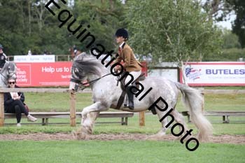 PAP-6028
