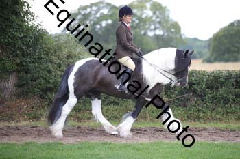 PAP-6085
