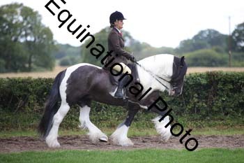 PAP-6086