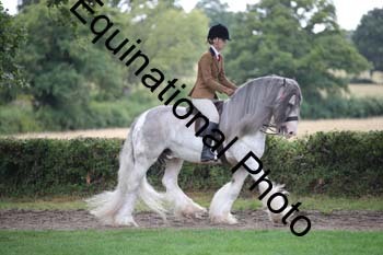 PAP-6087